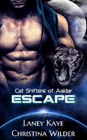 [Cat Shifters of Aaidar 01] • Escape